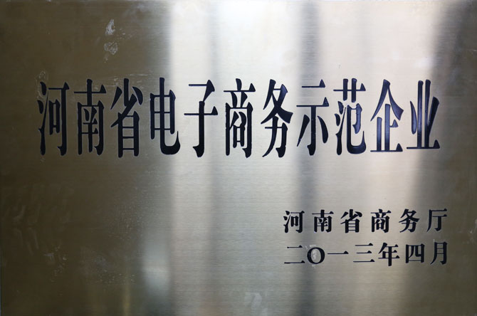 河南省电子商务示范企业